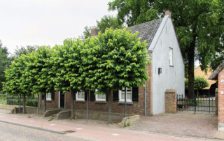 Heemerf de schutsboom